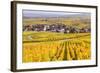 Vineyards, Riquewihr, Alsace, France-Matteo Colombo-Framed Photographic Print