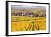 Vineyards, Riquewihr, Alsace, France-Matteo Colombo-Framed Photographic Print