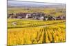 Vineyards, Riquewihr, Alsace, France-Matteo Colombo-Mounted Photographic Print