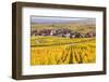 Vineyards, Riquewihr, Alsace, France-Matteo Colombo-Framed Photographic Print