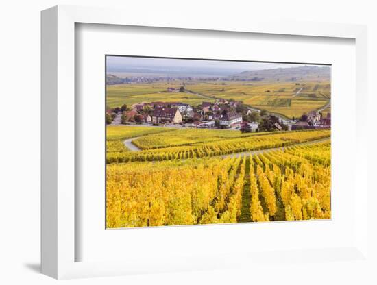 Vineyards, Riquewihr, Alsace, France-Matteo Colombo-Framed Photographic Print