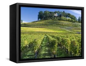 Vineyards, St. Emilion, Gironde, France, Europe-Robert Cundy-Framed Stretched Canvas