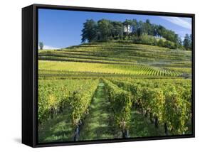 Vineyards, St. Emilion, Gironde, France, Europe-Robert Cundy-Framed Stretched Canvas