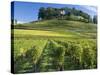 Vineyards, St. Emilion, Gironde, France, Europe-Robert Cundy-Stretched Canvas