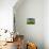 Vineyards, St. Emilion, Gironde, France, Europe-Robert Cundy-Photographic Print displayed on a wall