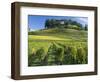 Vineyards, St. Emilion, Gironde, France, Europe-Robert Cundy-Framed Photographic Print