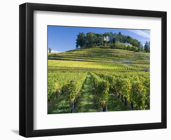 Vineyards, St. Emilion, Gironde, France, Europe-Robert Cundy-Framed Photographic Print