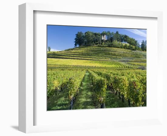 Vineyards, St. Emilion, Gironde, France, Europe-Robert Cundy-Framed Photographic Print