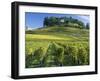 Vineyards, St. Emilion, Gironde, France, Europe-Robert Cundy-Framed Photographic Print