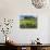 Vineyards, St. Emilion, Gironde, France, Europe-Robert Cundy-Photographic Print displayed on a wall