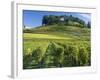 Vineyards, St. Emilion, Gironde, France, Europe-Robert Cundy-Framed Photographic Print