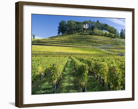 Vineyards, St. Emilion, Gironde, France, Europe-Robert Cundy-Framed Photographic Print