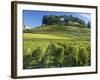 Vineyards, St. Emilion, Gironde, France, Europe-Robert Cundy-Framed Photographic Print