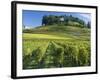 Vineyards, St. Emilion, Gironde, France, Europe-Robert Cundy-Framed Photographic Print