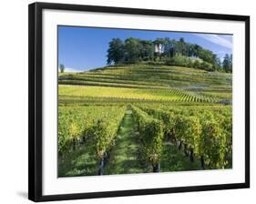 Vineyards, St. Emilion, Gironde, France, Europe-Robert Cundy-Framed Photographic Print