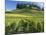 Vineyards, St. Emilion, Gironde, France, Europe-Robert Cundy-Mounted Photographic Print