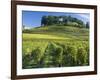 Vineyards, St. Emilion, Gironde, France, Europe-Robert Cundy-Framed Photographic Print