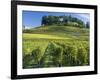 Vineyards, St. Emilion, Gironde, France, Europe-Robert Cundy-Framed Photographic Print