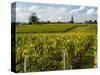 Vineyards, St. Emilion, Gironde, France, Europe-Robert Cundy-Stretched Canvas