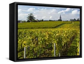 Vineyards, St. Emilion, Gironde, France, Europe-Robert Cundy-Framed Stretched Canvas