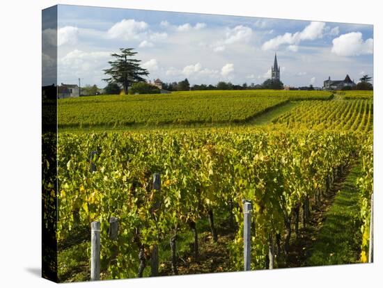 Vineyards, St. Emilion, Gironde, France, Europe-Robert Cundy-Stretched Canvas