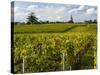 Vineyards, St. Emilion, Gironde, France, Europe-Robert Cundy-Stretched Canvas