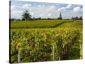 Vineyards, St. Emilion, Gironde, France, Europe-Robert Cundy-Stretched Canvas