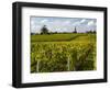 Vineyards, St. Emilion, Gironde, France, Europe-Robert Cundy-Framed Photographic Print