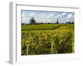 Vineyards, St. Emilion, Gironde, France, Europe-Robert Cundy-Framed Photographic Print