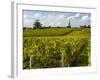 Vineyards, St. Emilion, Gironde, France, Europe-Robert Cundy-Framed Photographic Print