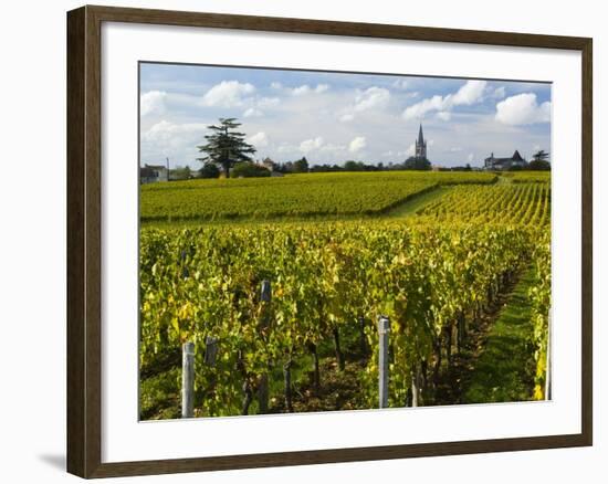 Vineyards, St. Emilion, Gironde, France, Europe-Robert Cundy-Framed Photographic Print