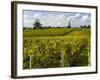 Vineyards, St. Emilion, Gironde, France, Europe-Robert Cundy-Framed Photographic Print