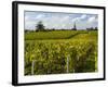 Vineyards, St. Emilion, Gironde, France, Europe-Robert Cundy-Framed Photographic Print