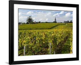 Vineyards, St. Emilion, Gironde, France, Europe-Robert Cundy-Framed Photographic Print