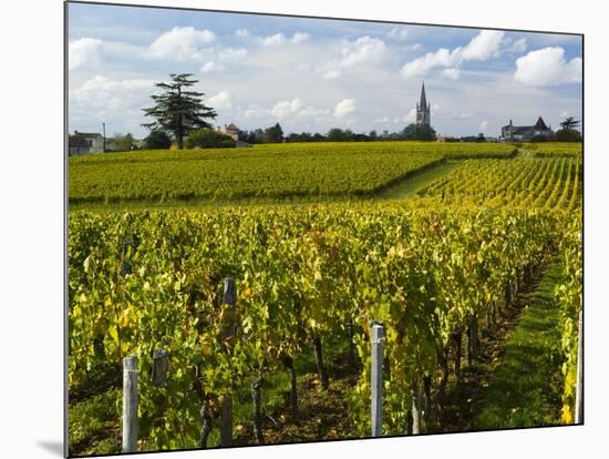 Vineyards, St. Emilion, Gironde, France, Europe-Robert Cundy-Mounted Photographic Print