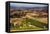 Vineyards Surround the Belvedere House-Terry Eggers-Framed Stretched Canvas