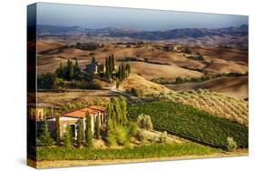 Vineyards Surround the Belvedere House-Terry Eggers-Stretched Canvas