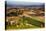 Vineyards Surround the Belvedere House-Terry Eggers-Stretched Canvas