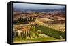 Vineyards Surround the Belvedere House-Terry Eggers-Framed Stretched Canvas