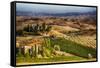 Vineyards Surround the Belvedere House-Terry Eggers-Framed Stretched Canvas