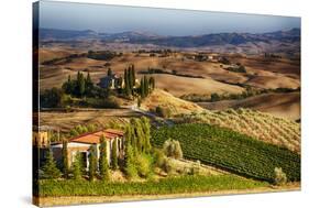 Vineyards Surround the Belvedere House-Terry Eggers-Stretched Canvas