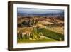 Vineyards Surround the Belvedere House-Terry Eggers-Framed Photographic Print