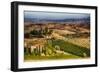 Vineyards Surround the Belvedere House-Terry Eggers-Framed Photographic Print