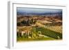 Vineyards Surround the Belvedere House-Terry Eggers-Framed Photographic Print