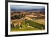 Vineyards Surround the Belvedere House-Terry Eggers-Framed Photographic Print