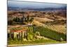 Vineyards Surround the Belvedere House-Terry Eggers-Mounted Photographic Print