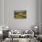 Vineyards Surround the Belvedere House-Terry Eggers-Framed Stretched Canvas displayed on a wall