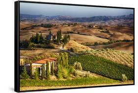 Vineyards Surround the Belvedere House-Terry Eggers-Framed Stretched Canvas