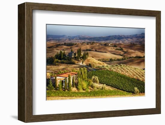 Vineyards Surround the Belvedere House-Terry Eggers-Framed Photographic Print