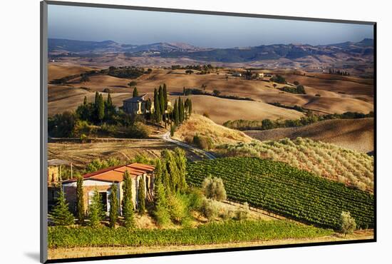 Vineyards Surround the Belvedere House-Terry Eggers-Mounted Photographic Print